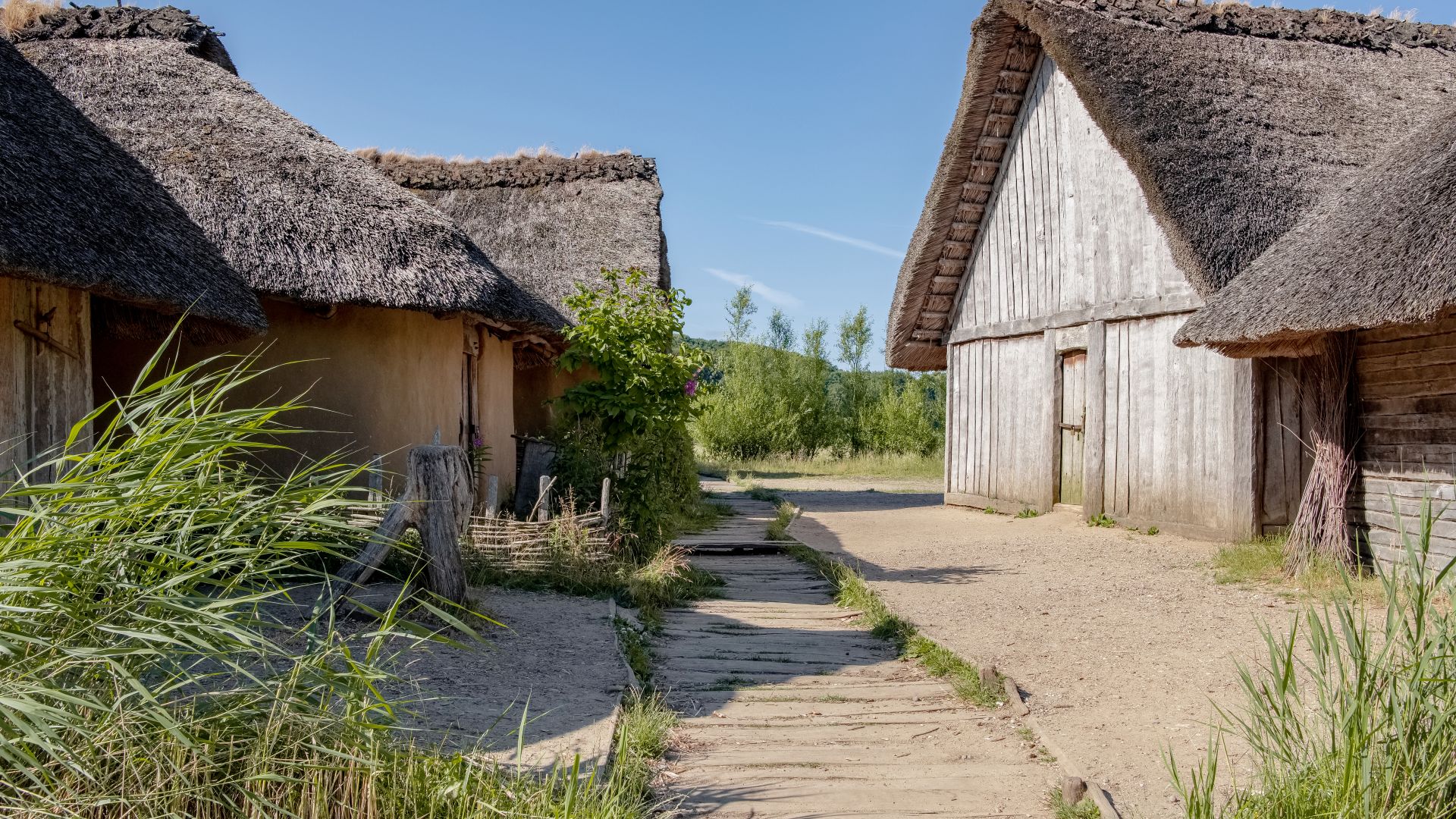 Busdorf: UNESCO Haithabu, colony of vikings