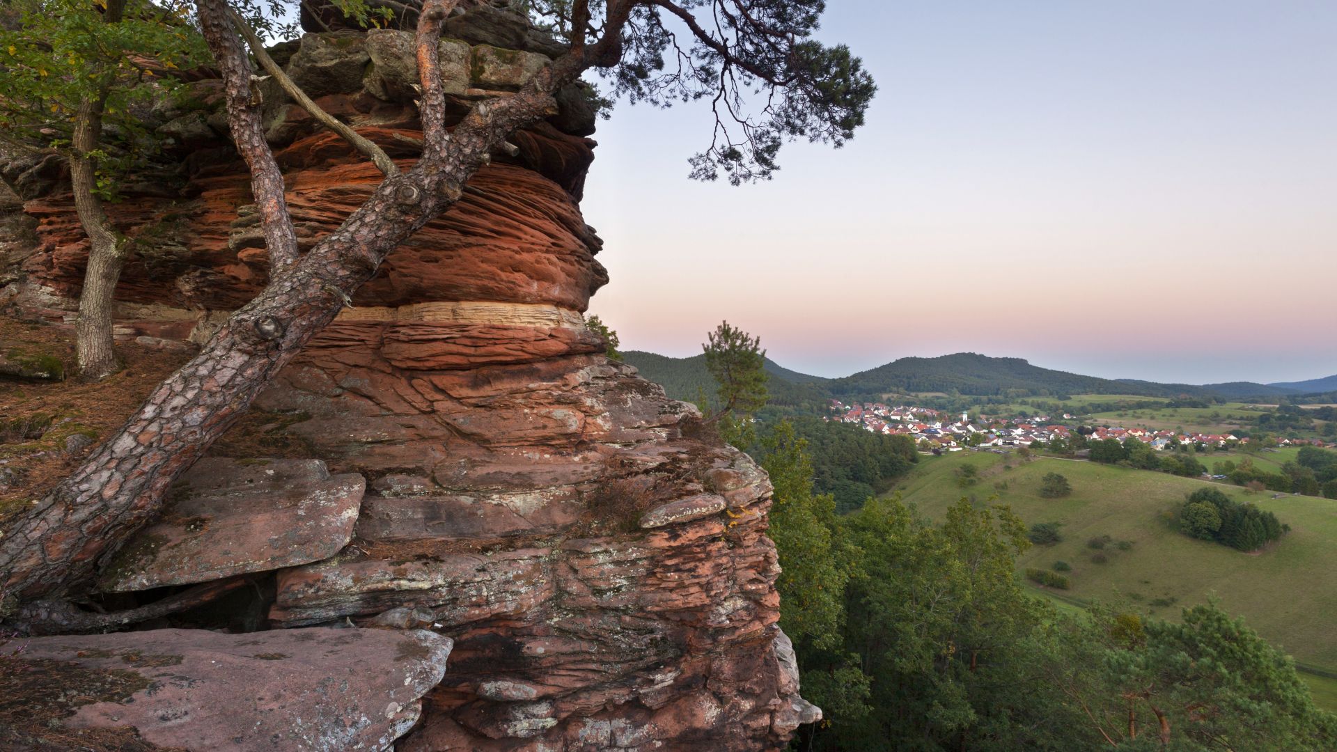 Palatinate Forest Nature Park