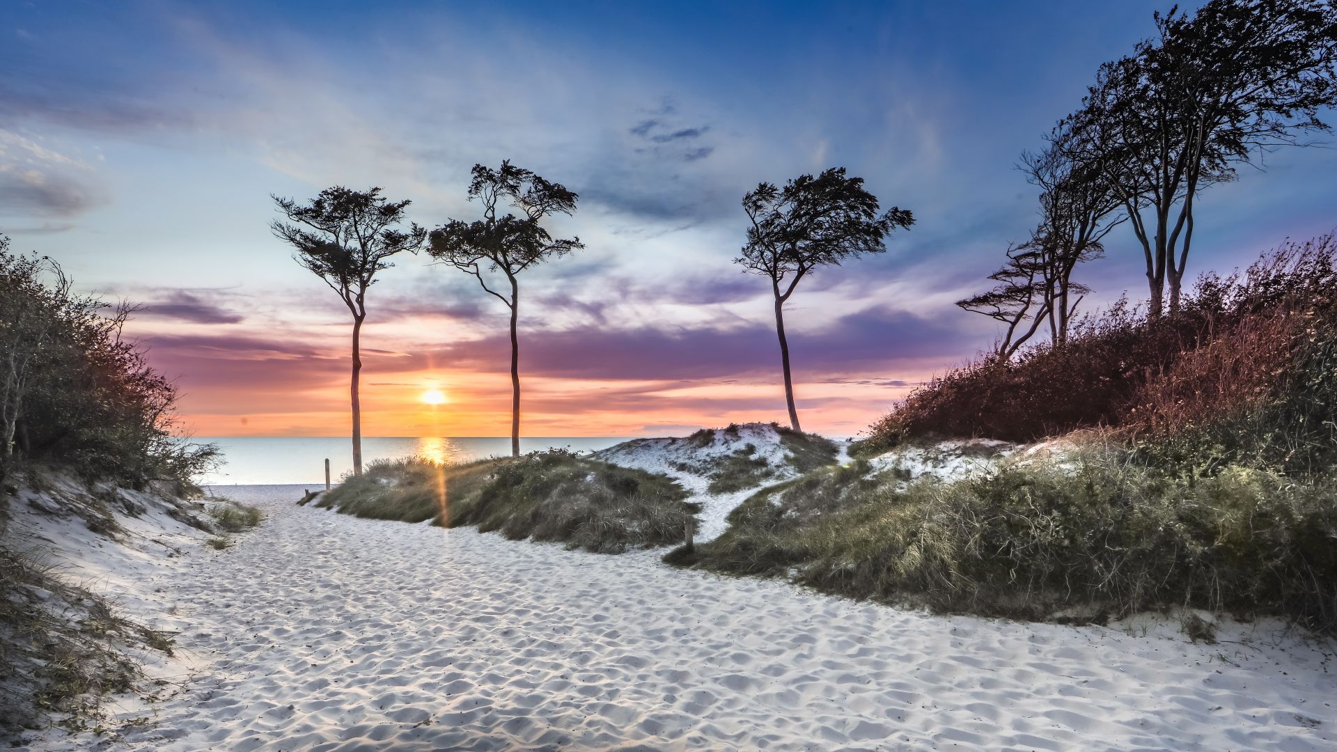 Darßer / Fischland: Darßer Beach at sunset