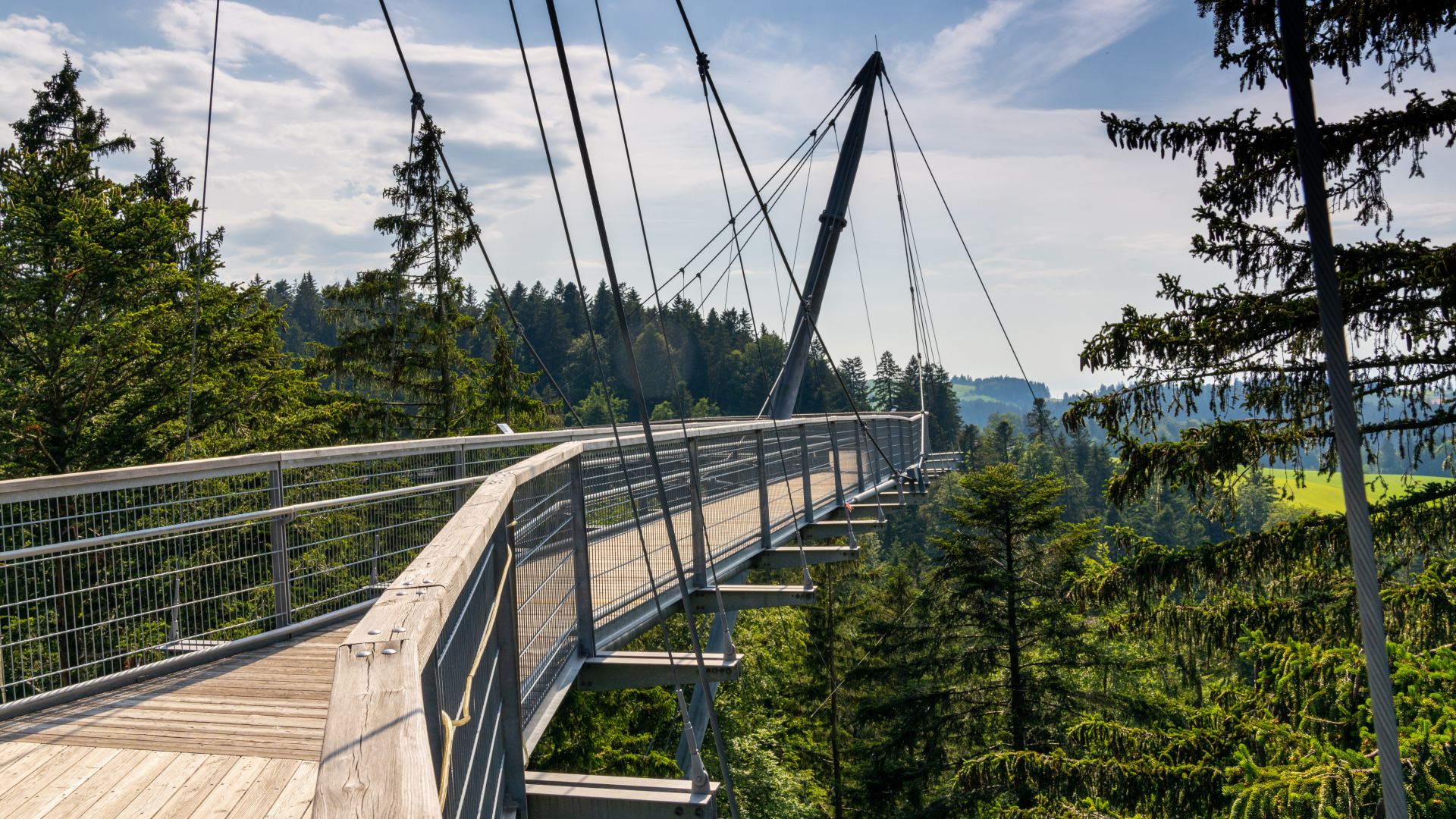 Scheidegg: Walk over the Skywalk with a view over the Allgäu region