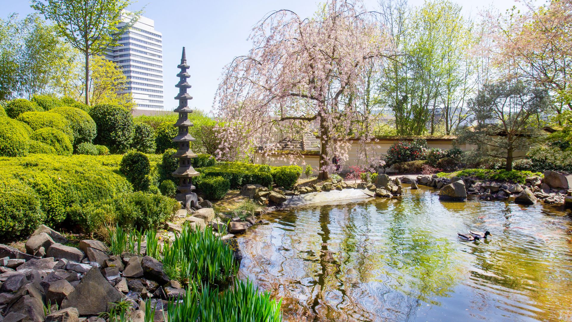 Kaiserslautern: Japanese Garden