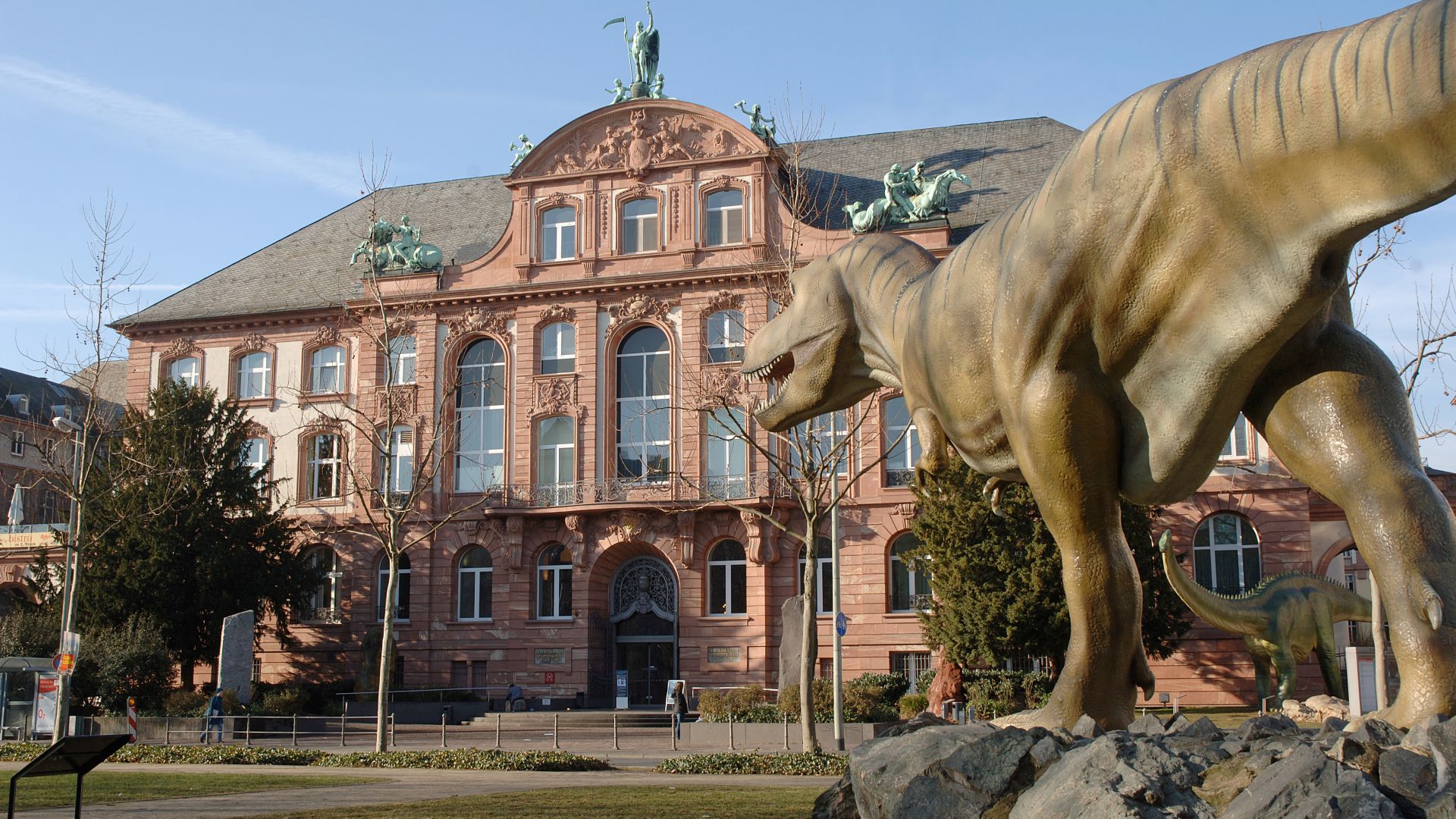 Frankfurt: Senckenberg Nature Museum