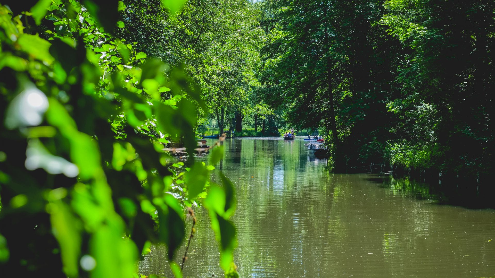 Lübbenau: View of a busy canal