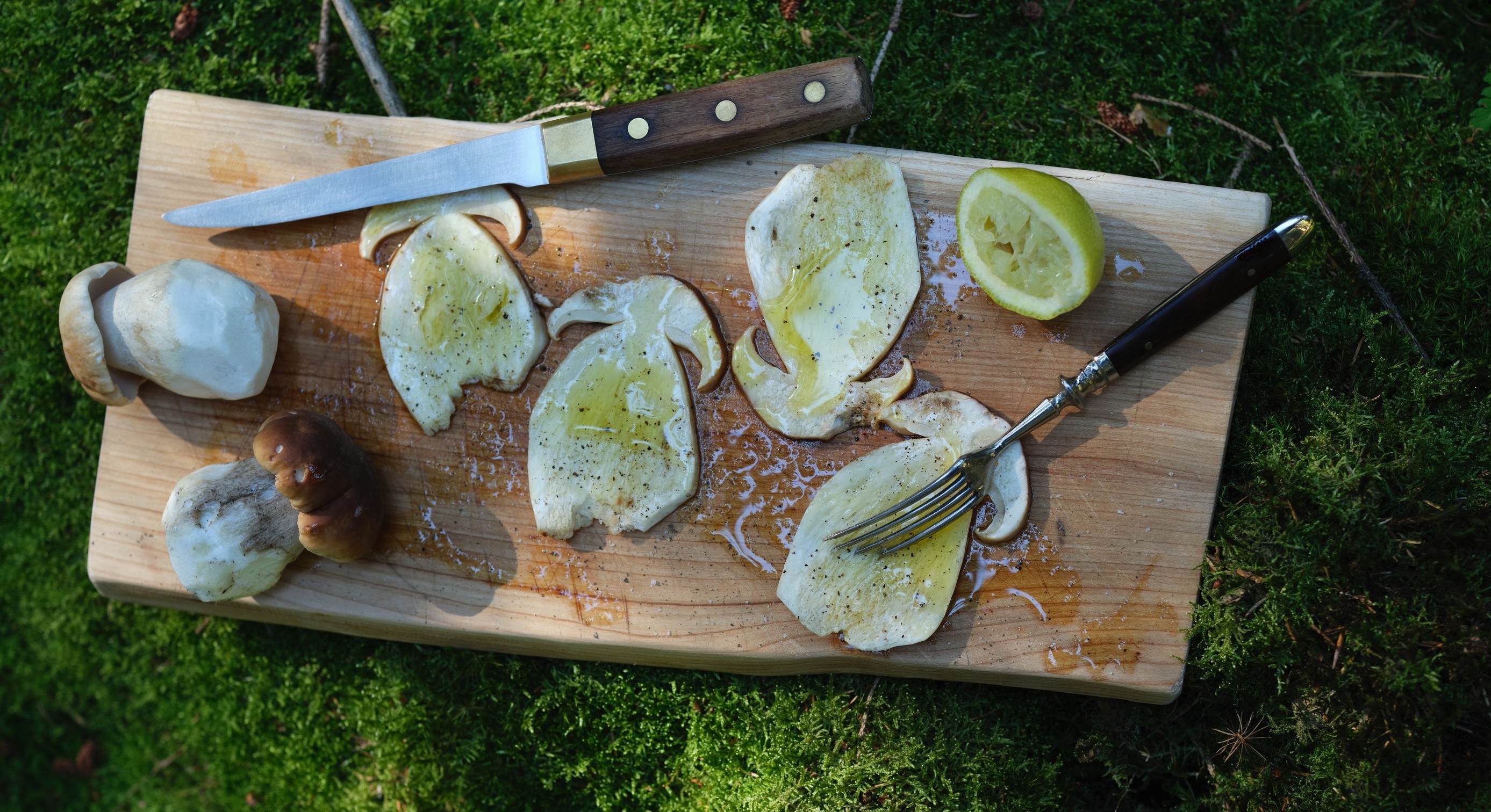 Germany: preparation of porcini mushrooms in the forest